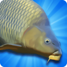 鲤鱼钓鱼模拟器完整版(carp fish sim)