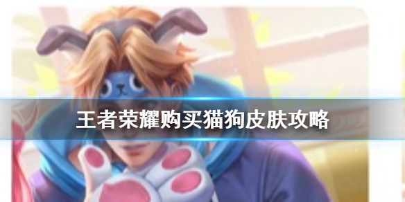 王者荣耀没有大乔孙策怎么买皮肤？猫狗日记购买技巧[视频][多图]