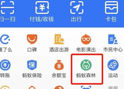 支付宝蚂蚁森林行走了为什么没有能量呢[多图]图片2
