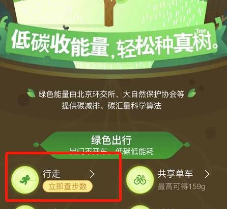 支付宝蚂蚁森林行走了为什么没有能量呢[多图]图片4