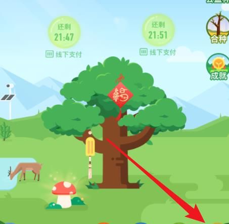 蚂蚁森林领取的节气装扮怎么用[多图]图片2