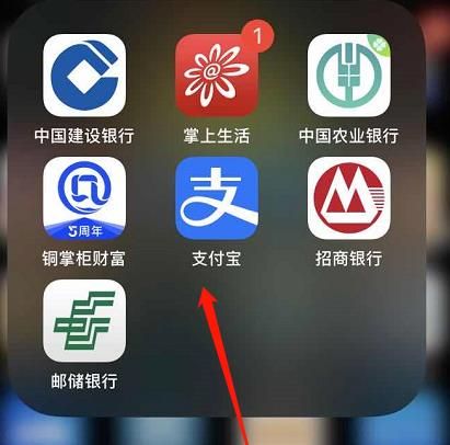 支付宝蚂蚁森林行走了为什么没有能量呢[多图]图片1