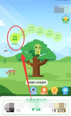 支付宝怎么收取能量[多图]图片5