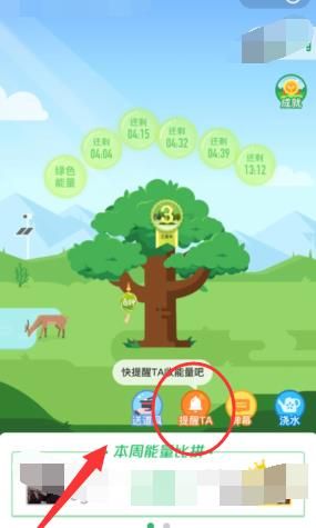 支付宝怎么收取能量[多图]图片6