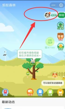支付宝怎么收取能量[多图]图片3
