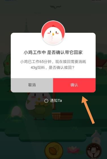 <a href=https://www.danji9.com/myzy/ target=_blank class=infotextkey>蚂蚁庄园</a>小鸡工作中是什么意思？怎么召回小鸡[多图]图片4