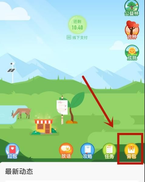 如何领取并使用好友在蚂蚁森林中赠送的道具[多图]图片4