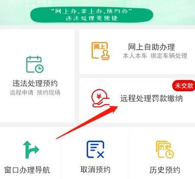 微信预约远程处理违法成功后怎么缴纳罚款[多图]图片3