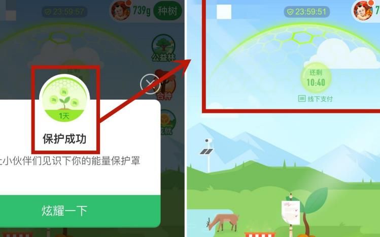如何领取并使用好友在蚂蚁森林中赠送的道具[多图]图片7