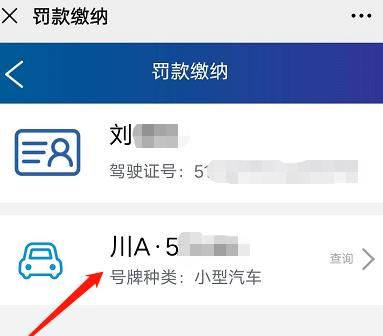 微信预约远程处理违法成功后怎么缴纳罚款[多图]图片4