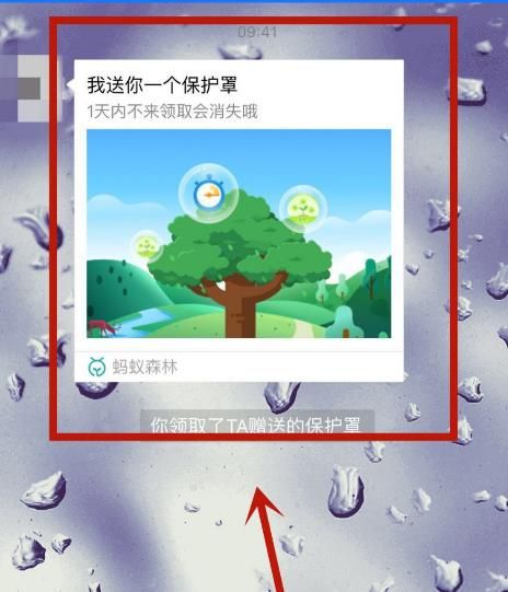 如何领取并使用好友在蚂蚁森林中赠送的道具[多图]图片3