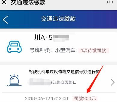 微信预约远程处理违法成功后怎么缴纳罚款[多图]图片5
