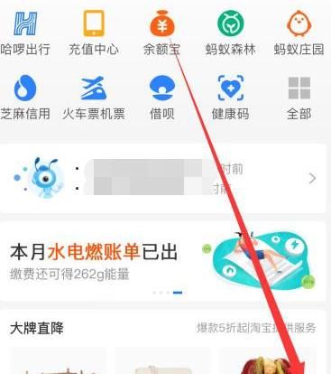 支付宝怎么查看我的公益账户[多图]图片2