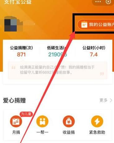 支付宝怎么查看我的公益账户[多图]图片4
