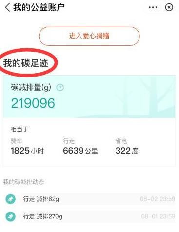 支付宝怎么查看我的公益账户[多图]图片6