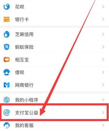 支付宝怎么查看我的公益账户[多图]图片3