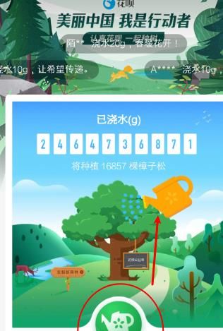 蚂蚁森林公益林怎么浇水[多图]图片6