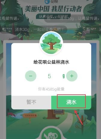 蚂蚁森林公益林怎么浇水[多图]图片5