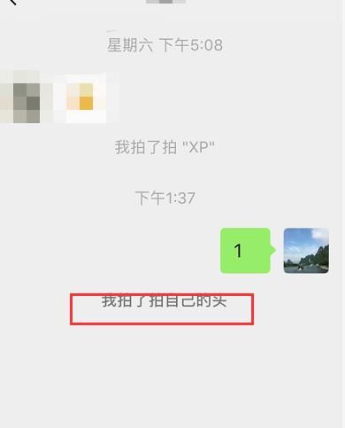 苹果手机如何设置微信拍一拍内容[多图]图片6