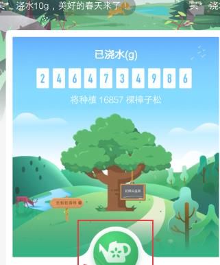 蚂蚁森林公益林怎么浇水[多图]图片4