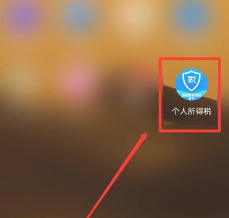 个人所得税app怎么使用留言咨询功能[多图]