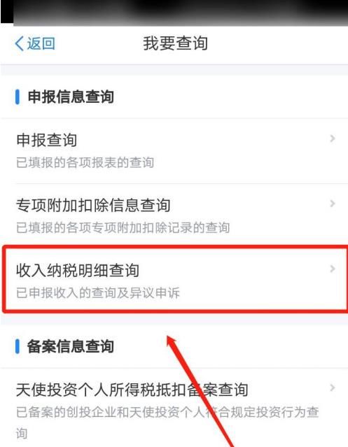 个人所得税app怎么查询收入纳税明细[多图]图片3