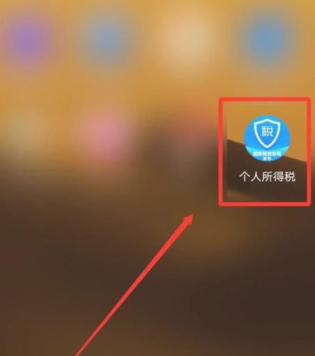 个人所得税app怎么查询收入纳税明细[多图]