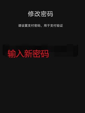 微信支付密码在哪里修改[多图]图片7