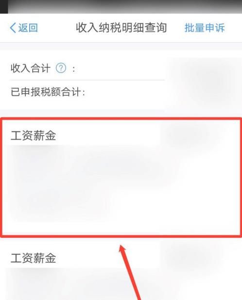 个人所得税app怎么查询收入纳税明细[多图]图片5