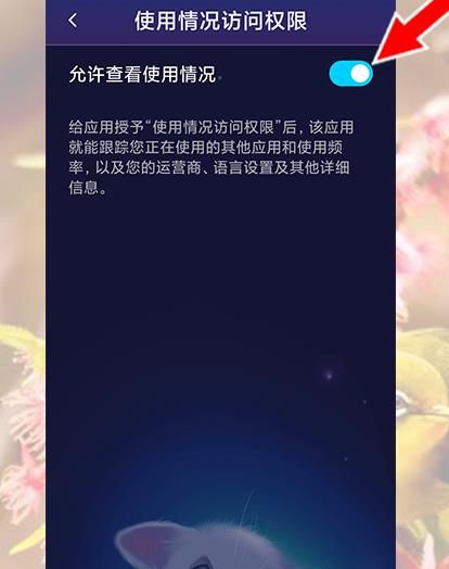 小米手机MIUI11怎么允许应用安装未知应用[多图]图片7