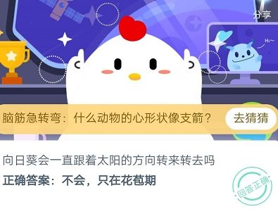向日葵会一直跟着太阳的方向转来转去吗？<a href=https://www.danji9.com/myzy/ target=_blank class=infotextkey>蚂蚁庄园</a>今日答案[多图]图片2