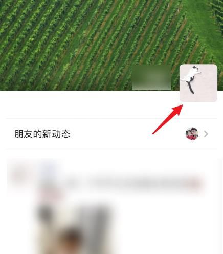 微信朋友圈可以删评论了，怎么删除别人评论[多图]