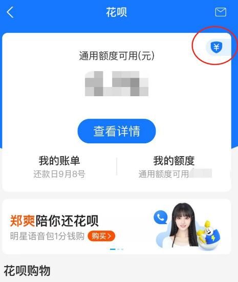 支付宝花呗如何升级支付宝账户安全险保障[多图]图片4