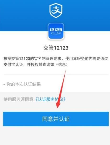 支付宝如何查询车辆违章记录？支付宝查询车辆违章的方法[多图]图片4