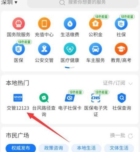 支付宝如何查询车辆违章记录？支付宝查询车辆违章的方法[多图]图片2