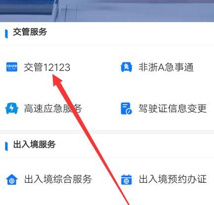 支付宝怎么查驾驶证的清分日期[多图]图片3