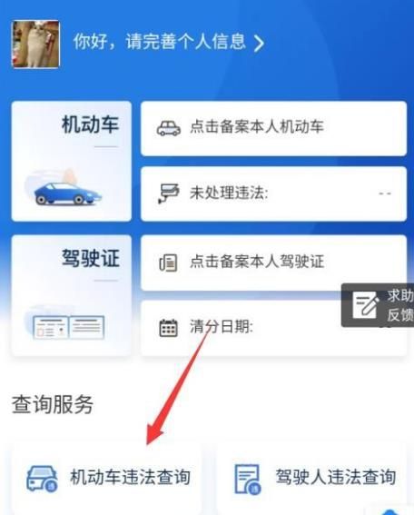 支付宝如何查询车辆违章记录？支付宝查询车辆违章的方法[多图]图片3