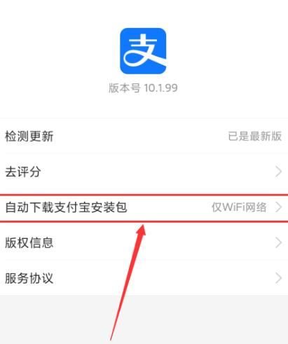 如何禁用支付宝自动下载安装包？禁用支付宝自动下载安装包的方法[多图]图片5