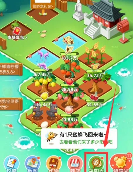 淘宝芭芭农场小蜜蜂怎么采阳光？淘宝芭芭农场小蜜蜂采阳光的方法[多图]图片3