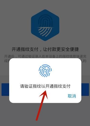 支付宝如何开通指纹支付？支付宝开通指纹支付的方法[多图]图片7