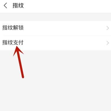 支付宝如何开通指纹支付？支付宝开通指纹支付的方法[多图]图片5
