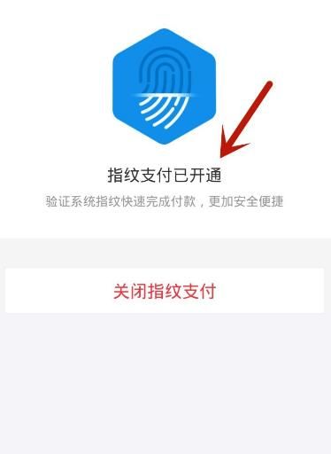 支付宝如何开通指纹支付？支付宝开通指纹支付的方法[多图]图片8