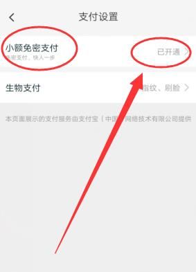 淘宝100元以下免密支付怎么解除？淘宝100元以下免密支付解除的方法[多图]图片4