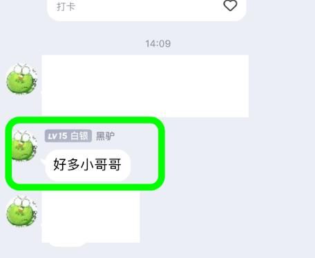 QQ群聊如何设置精华消息？QQ群聊设置精华消息的方法[多图]图片2