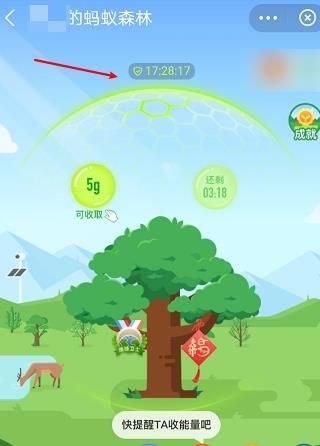 蚂蚁森林怎样收取好友的能量？蚂蚁森林收取好友的能量的方法[多图]图片6