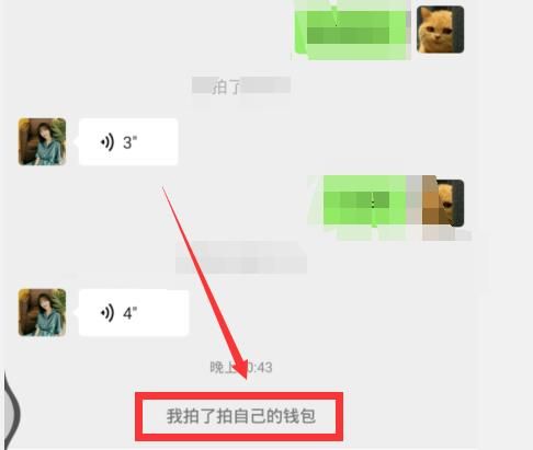 微信拍一拍怎么撤回？微信拍一拍怎么取消[多图]图片4