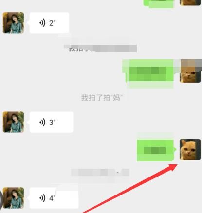 微信拍一拍怎么撤回？微信拍一拍怎么取消[多图]图片3