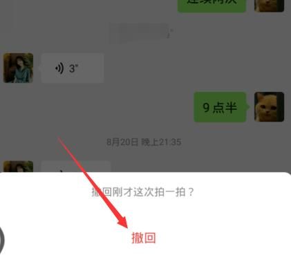 微信拍一拍怎么撤回？微信拍一拍怎么取消[多图]图片5