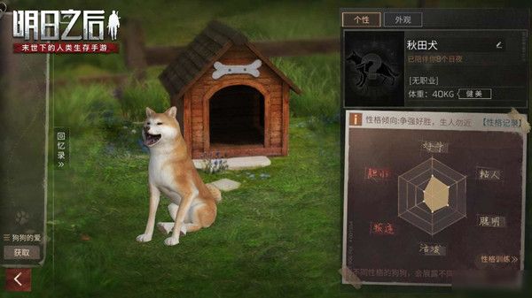 明日之后寻回犬有什么特点？训练技巧分享[视频][图]