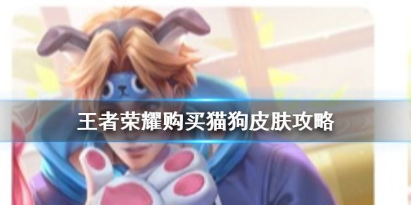 王者荣耀没有大乔孙策购买猫狗日记皮肤方法[视频][多图]